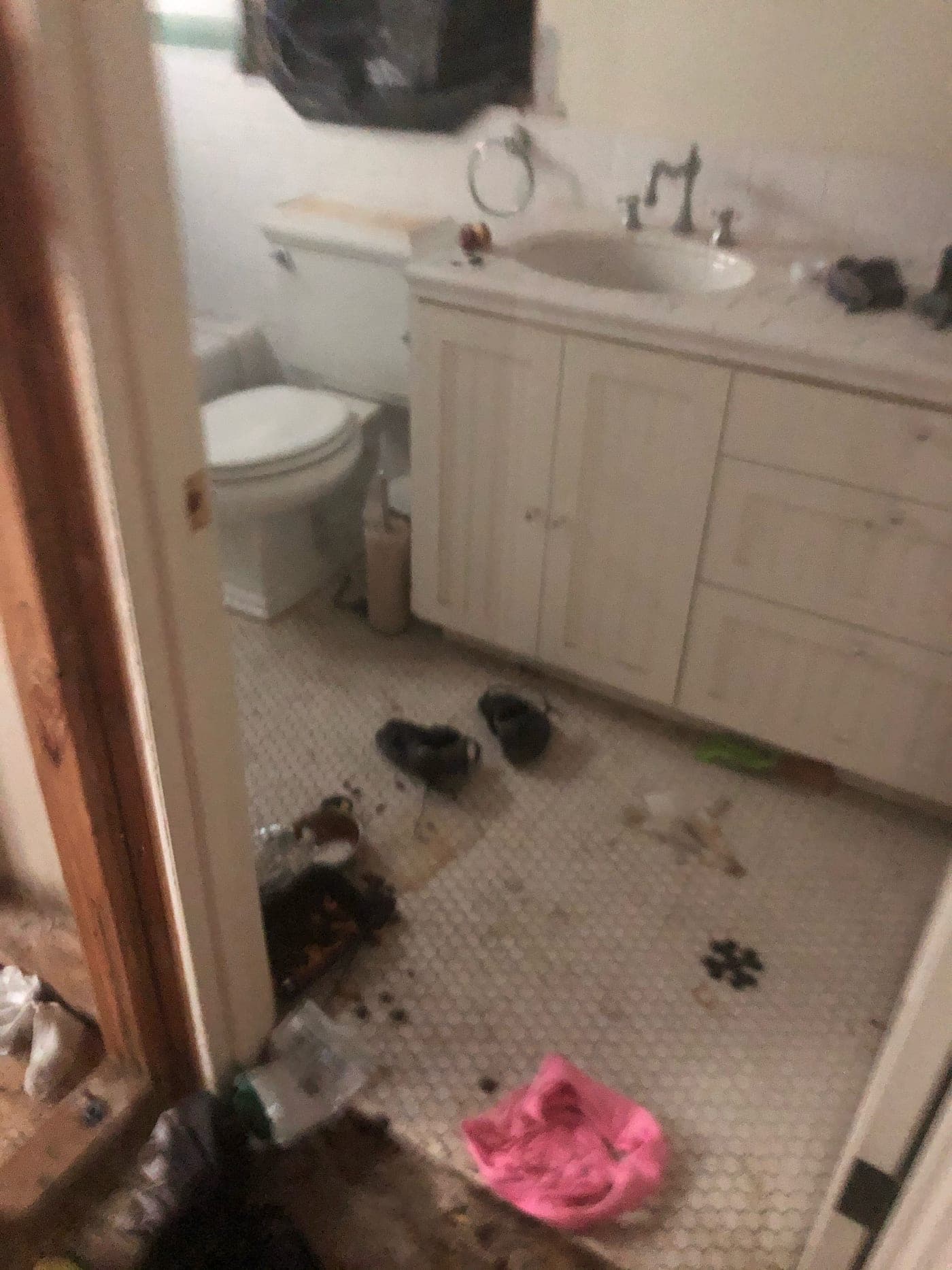Malibu Major Renovation — Before photo 4